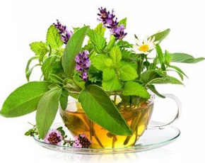 Fresh Herbal Products